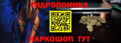 дмт Балахна