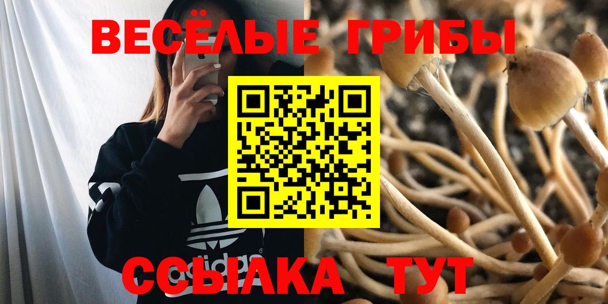 Псилоцибиновые грибы прущие грибы Дзержинский