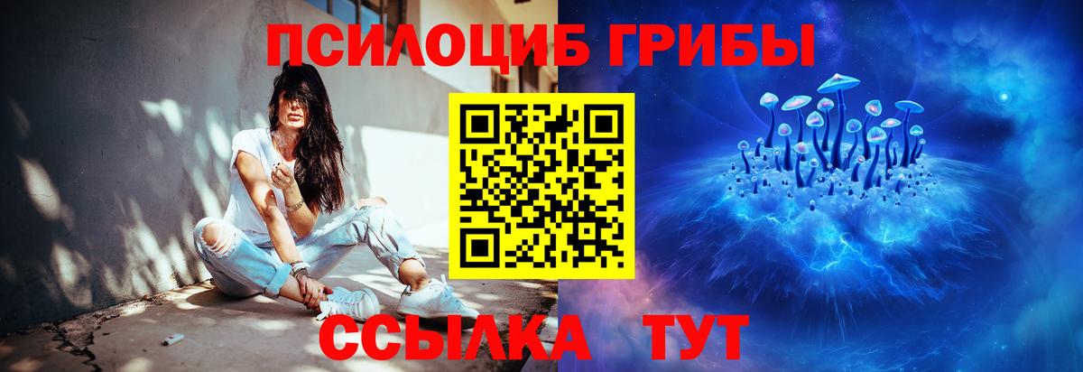 Дзержинский  Псилоцибиновые грибы Psilocybe  Псилоцибиновые грибы Magic Shrooms  Вход с VPN 